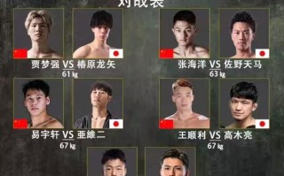 EFC蛮火豹7中国功夫冠军赛 中日对抗赛